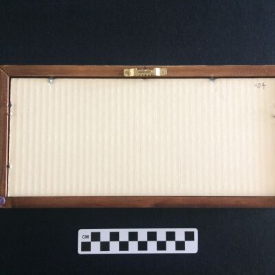 Back of frame: Origsize: 12"(w) x 5.75"(h) x; Origformat: Artifact