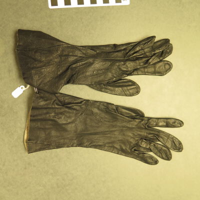 Glove
