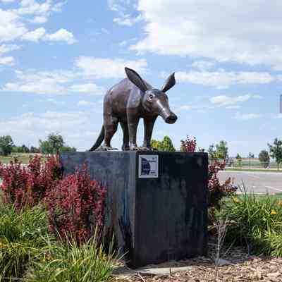 Aardvark