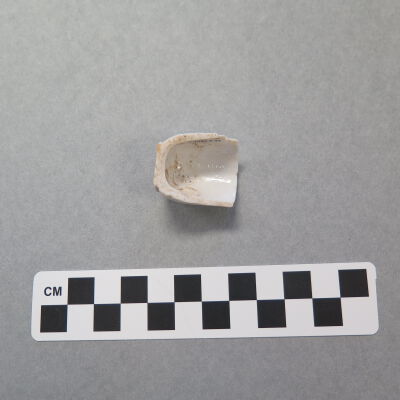 Fragment