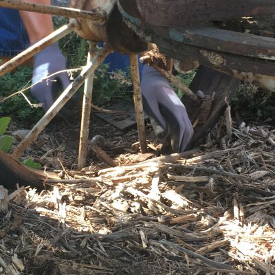 Condition: Wheel condition-and covered in mulch. (2017-09-19): Origformat: Artifact