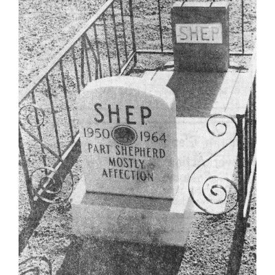 Black and White Photograph of Shep's Grave