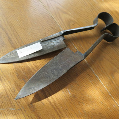 Shears, Sheep
