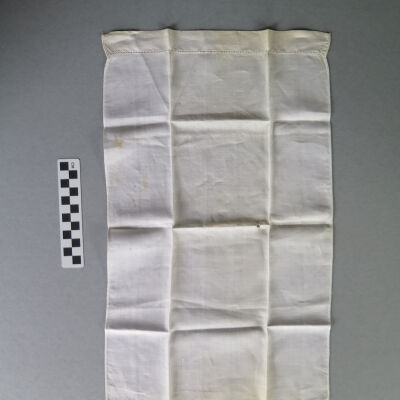 Napkin