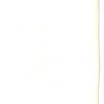 ph.1143 Back
