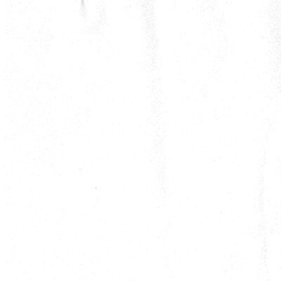 Mrs. John Bleeker -Back