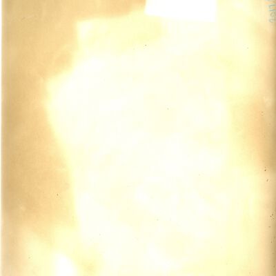 Origformat: Print-Photographic