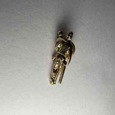 Pin: Gold Shriner pin. Belonged to PGM James O. Wood (c.1999)