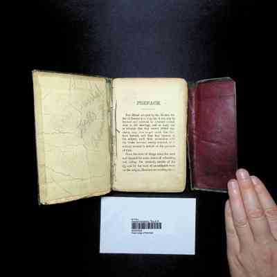 Ritual: The Ancient Essenes (1873)