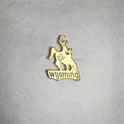 Pin: Presumably Wyoming Grand Lodge. Collectedd by PGM Sam Roberts (c. 2015)
