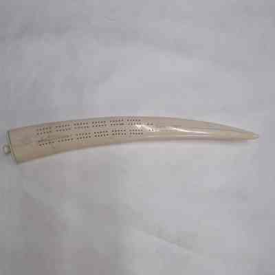 Cribbage Board: Made of Walrus Tusk. Belonged to Tacoma Lodge No. 22