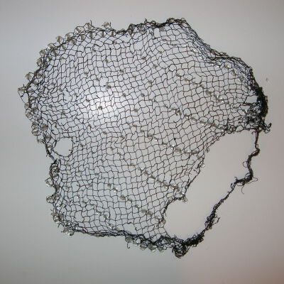 Hairnet