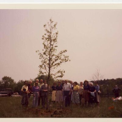 Planting a New Bedford Oak, 1980