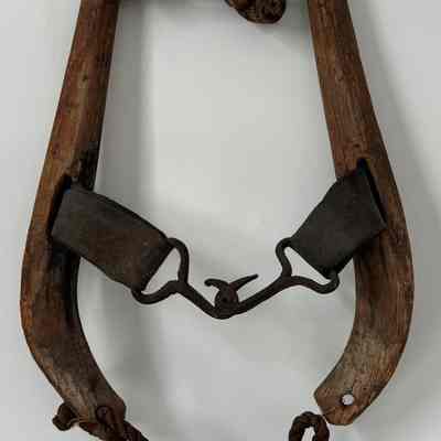 harness