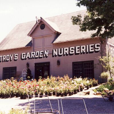 Troy's Nursery, 1994, Greenwich Road north of Banksville