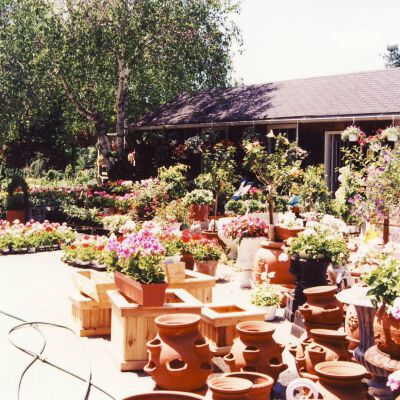 Bedford Nursery, 1994, on Greenwich Road