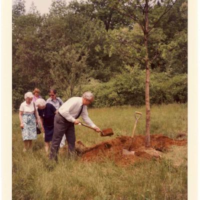 Planting a New Bedford Oak, 1980