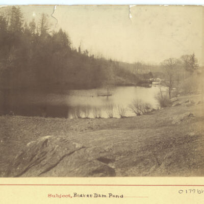 Beaver Dam Pond