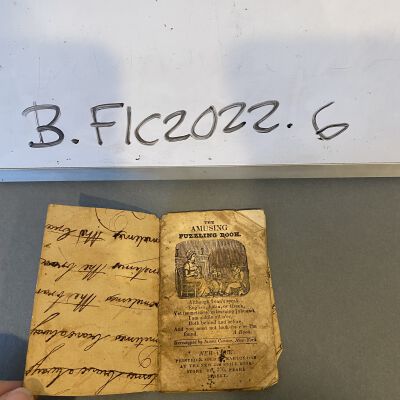 "The Amusing Puzzling Book"