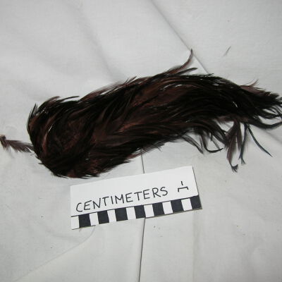 Feather