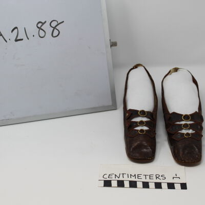 shoe