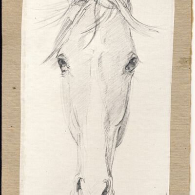 Drawing