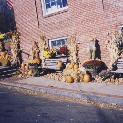 Stewart's Harvest Display