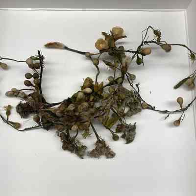 Wreath
