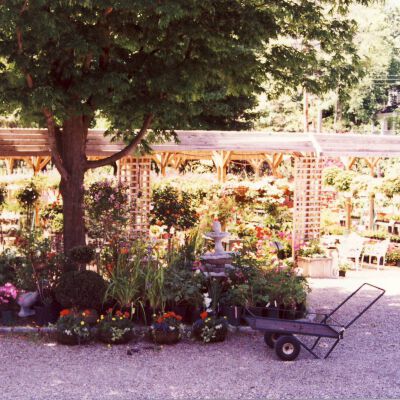 Troy's Nursery, 1994, Greenwich Road north of Banksville