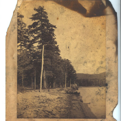 Shore of Meacham Lake