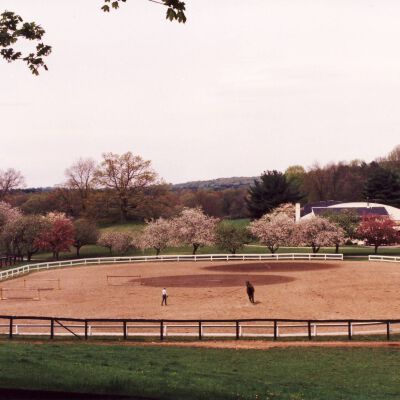 Sunnyfield Farm, 1994, Route 172