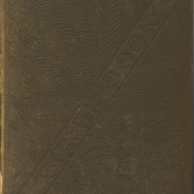 Luquer family Scrapbook, 1892-1945
