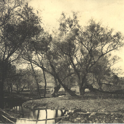Mianus River, Bedford