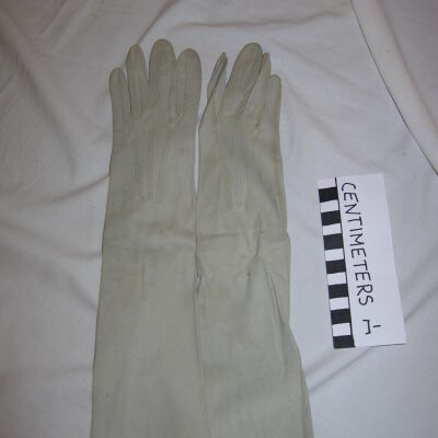 Glove