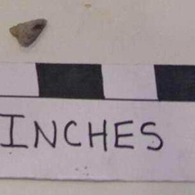 Point, Projectile