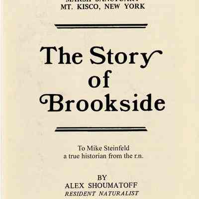 Pamphlet