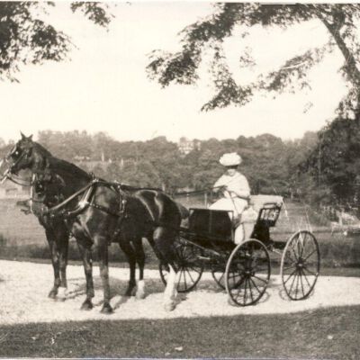 Woman in Carriage, Tanrackin Farm