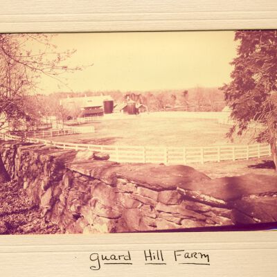 Guard Hill Farm