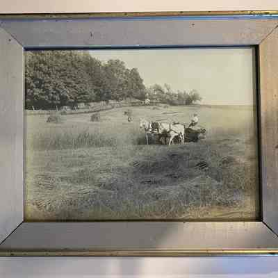 photograph