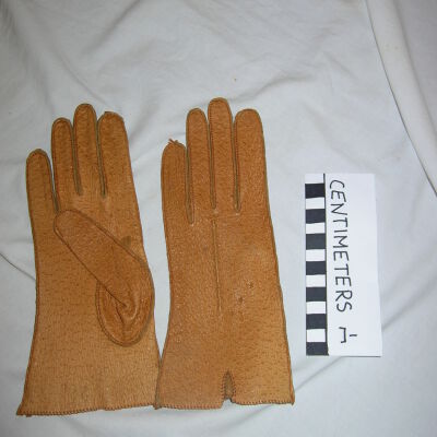 Glove