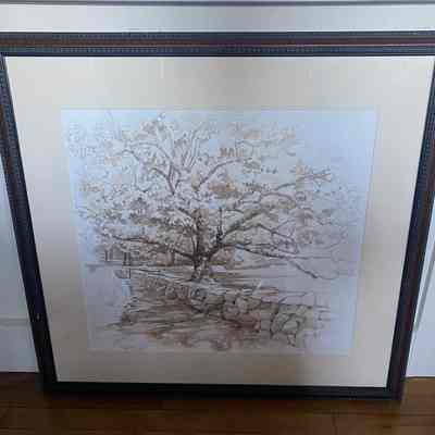 Bedford Oak Watercolor