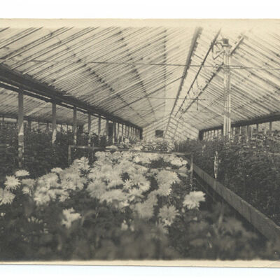 Tharp Greenhouse - Part of the Tharp home across from St. Matthew's Church, Bedford Hills.