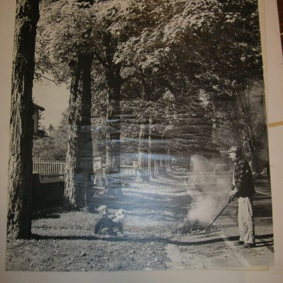 print, photographic