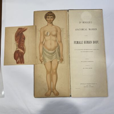 Dr. Minder's Anatomical Manikin of the Female Body