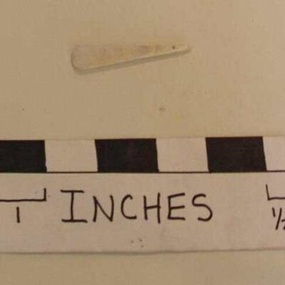 Shoehorn