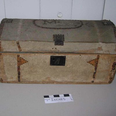 Trunk