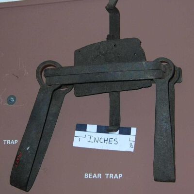 Trap