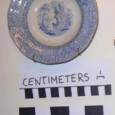 Saucer
