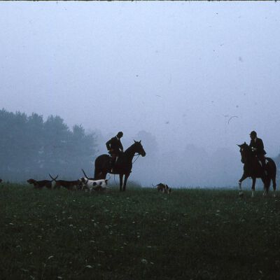 Horse and Hounds