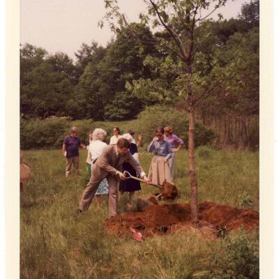 Planting a New Bedford Oak, 1980